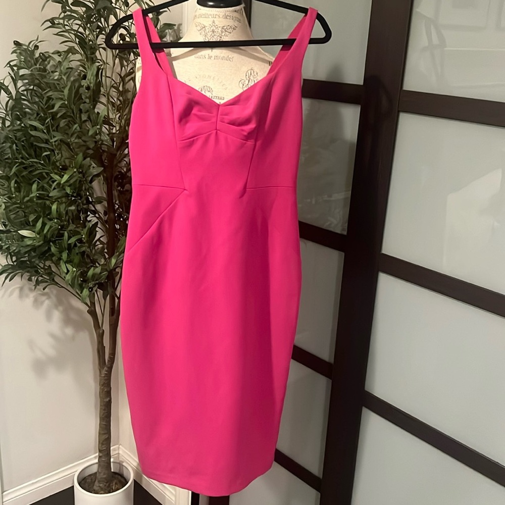 NWT Adrianna Papell Fuschia Dress